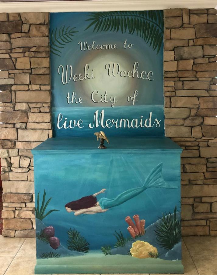 Bonne Nuit Weeki Wachee