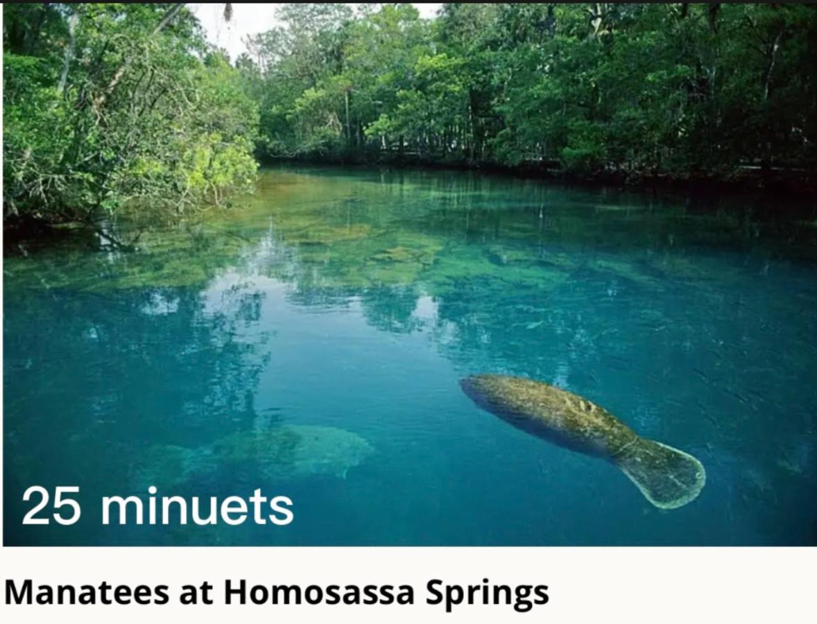 Ferienhaus Bonne Nuit Weeki Wachee